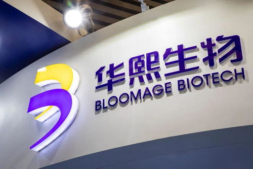 中國股市 五大優質公司讓你安心持有一年 甚至行情翻倍 名單